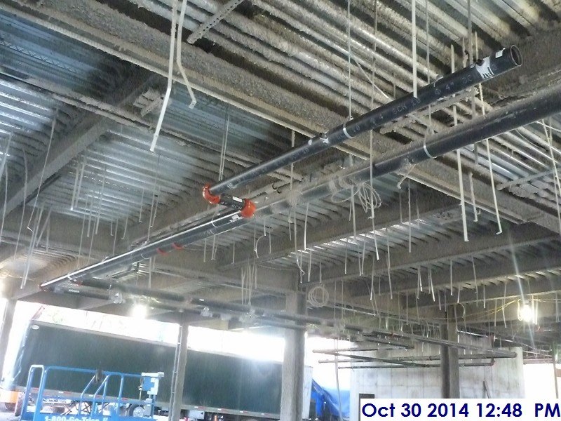 Continued installing the Main sprinkler piping at the 1st Floor Facing North (800x600)